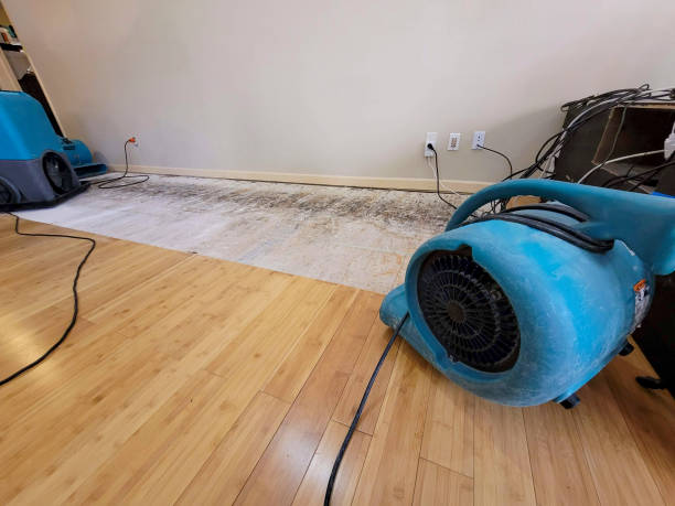 Professional Flood Damage Cleanup technician working in Eleva, WI